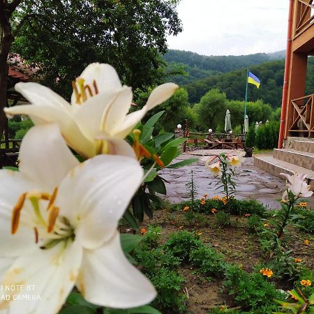 Bilovoddya Hotel Sil Exterior photo